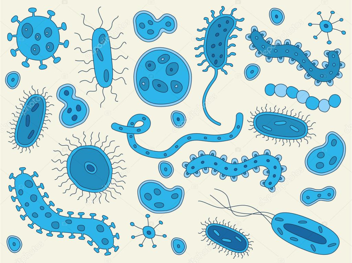 Бактерия тасмалдаушылар күнделікті жанымызда